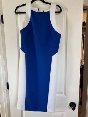 Sleeveless Colorblock Sheath Dress in Blue and White sz 8